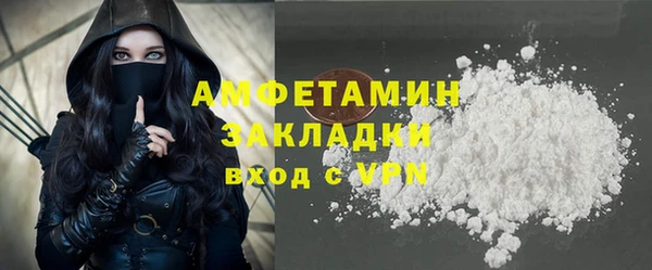 индика Беломорск