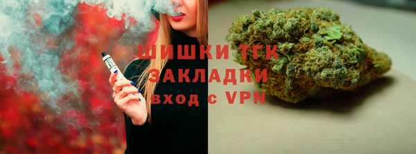 индика Беломорск