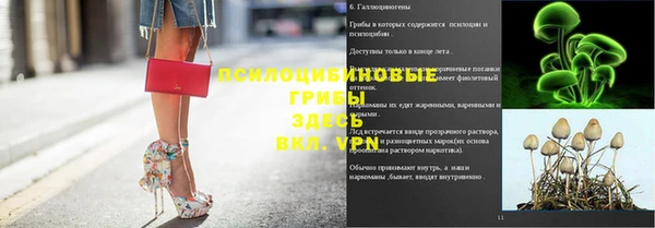 индика Беломорск