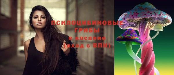 экстази Белокуриха