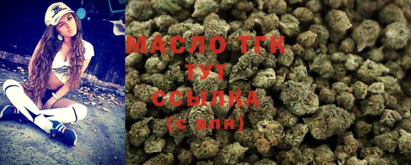индика Беломорск