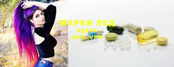 индика Беломорск