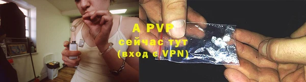 индика Беломорск