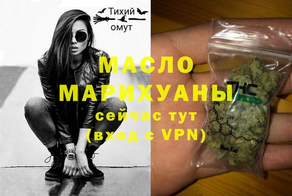 индика Беломорск
