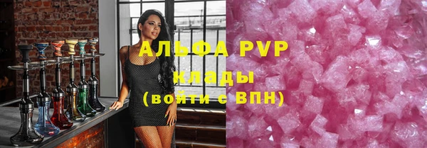 индика Беломорск