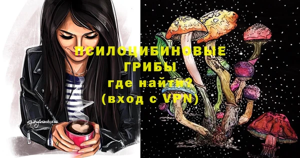 экстази Белокуриха