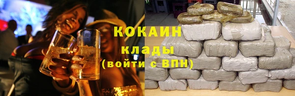 индика Беломорск